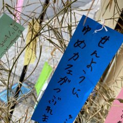 ガチャガチャに思いを込めて――大分県宇佐市「ゆめカフェ・モンスターのがっこう」